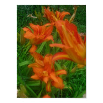 Splash of Orange posters by minx267 Splash of Orange posters