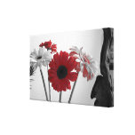 "Splash of Red" Stretched Canvas Print