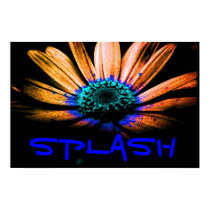 splash posters