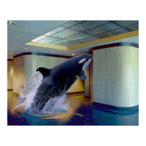 Splash posters