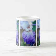 SPLASHCATA IRIS MUG