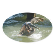 Splashdown Sticker sticker
