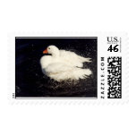 Splashing Duck Stamp