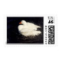 Splashing Duck Stamp by Fenyvessy Splashing Duck Stamp