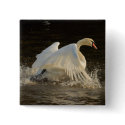 Splashing Swan buttons by Welshpixels Splashing Swan buttons