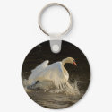 Splashing Swan keychains by Welshpixels Splashing Swan keychains