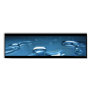 water, droplet, drop, macro, blue, gel, smooth,