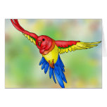 Splashy Avian Cards