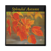 Splendid Autumn Magnet by Sialicious Splendid Autumn Magnet