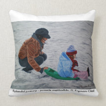 Splendid journey - jornada espléndida pillows