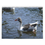 Splendid Year Calendars