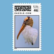 Splendidly Bald Wood Stork Postage Stamp stamps