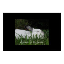Splendor in the Grass posters by Nikita13 Splendor in the Grass posters