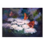 Splendor In the Meadow Poster