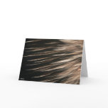 Splinters of Light Card