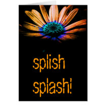 splish splash cards
