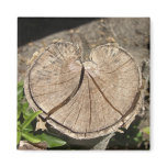 Split Heart Stump Magnets