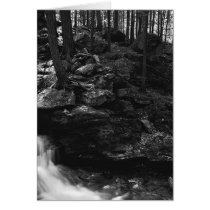 Spofford Glen cards