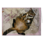 SPOILED PRINCESS CAT LAYING ON BACK cards