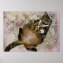 SPOILED PRINCESS CAT LAYING ON BACK POSTERS
