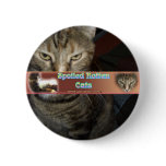 Spoiled Rotten Cats Pin