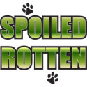 Spoiled Rotten Doggy Shirt petshirt