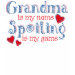 Ladies Petite T-Shirt