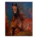 spontanuous horse LTH tee t-shirts