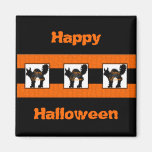Spooked Magnet
