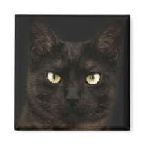 Spooky black cat magnets by deemac1 Spooky black cat magnets