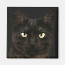 Spooky black cat refrigerator magnet