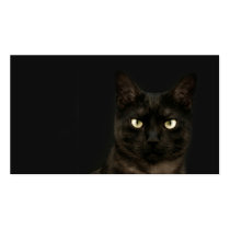 spooky cat profile card business cards by deemac1 spooky cat profile card business cards