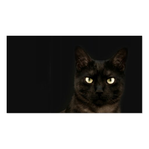 spooky cat profile card business cards