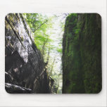 Spooky Flume Gorge Algae Fern Wall Mousepad