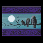 Spooky Halloween Owls postcards