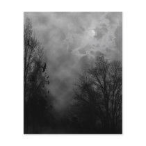 Spooky Halloween Sky with Ravens Flyer