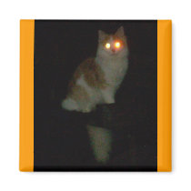 spooky kitty magnets by minx267 spooky kitty magnets