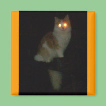 spooky kitty magnets