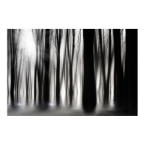 Spooky woods in BW with flooding Print