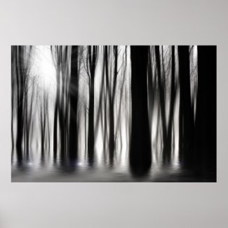 Spooky woods in BW with flooding Print