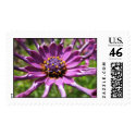 Spoon Daisy postage