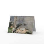 Spoon River Shadows Cards