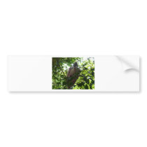 spoonbill bumper stickers
