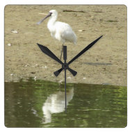 Spoonbill Clock