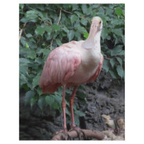 spoonbill personalized flyer