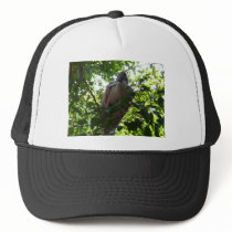 spoonbill mesh hat