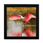 spoonbill keepsake boxes