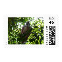spoonbill postage