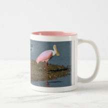 Spoonbill Reflections Mug