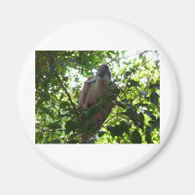 spoonbill refrigerator magnet